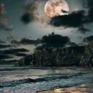 Meet your Posher, Rosa